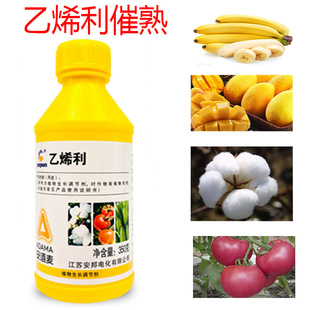 ��������ϩ����������㽶�޻��������z��������ȥƤ���a�{��