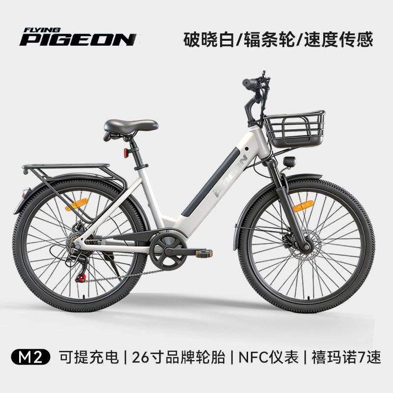 Batería desmontable paloma eléctrica asistida bicicleta de montaña nueva batería de litio estándar nacional para hombres y mujeres vehículos eléctricos de asistencia de viaje