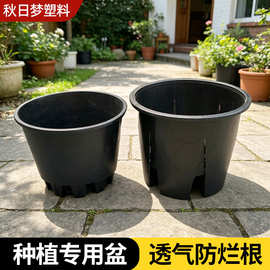 蓝莓基质盆25L30L塑料花盆厂家批发园艺种植花盆圆形花盆培育花盆