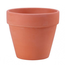 t͸}؃rఫHС̖ڏбP