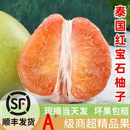 块茎类;芒果;其他水果