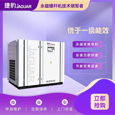 Jaguar Zls2002Ic 160Kw Permanent Magnet Hava kompressorları