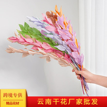 永生花桔叶绿色红色叶子保鲜花03172进口VERDISSIMO插瓶花装饰