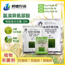 �G��6̖50%���宐������ܛ�����o����˪ù������ș�rș�������r��