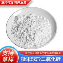 �{���������ĩ ΢�׶�������SiO2��֬���������T�����턩