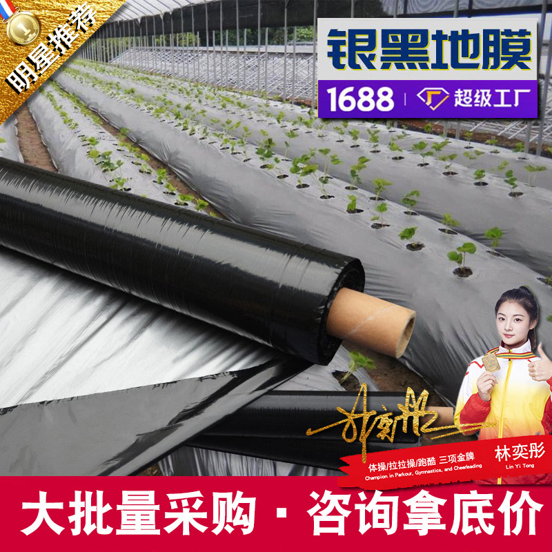 Mulch Film, Agricultural Film, Vegetable Planting Film, Thickened Black Film, Cold-Proof Plastic Cloth, Weed Control, Agricultural Silver-Black Mulch Film