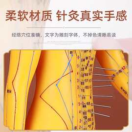 针灸人体模型医用扎针练习小皮人十二经络穴位图模特软胶扎针练习