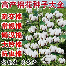 �½��޻��N�� �߮a�އ������x�޻��N�Ӹ߮a �����s���޴�����ؼ�