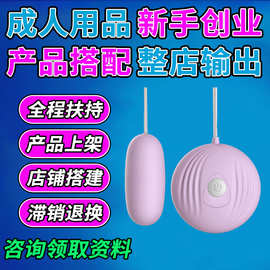成人情趣用品一手成年人用品货源一件代发批发厂家性用品性爱玩具