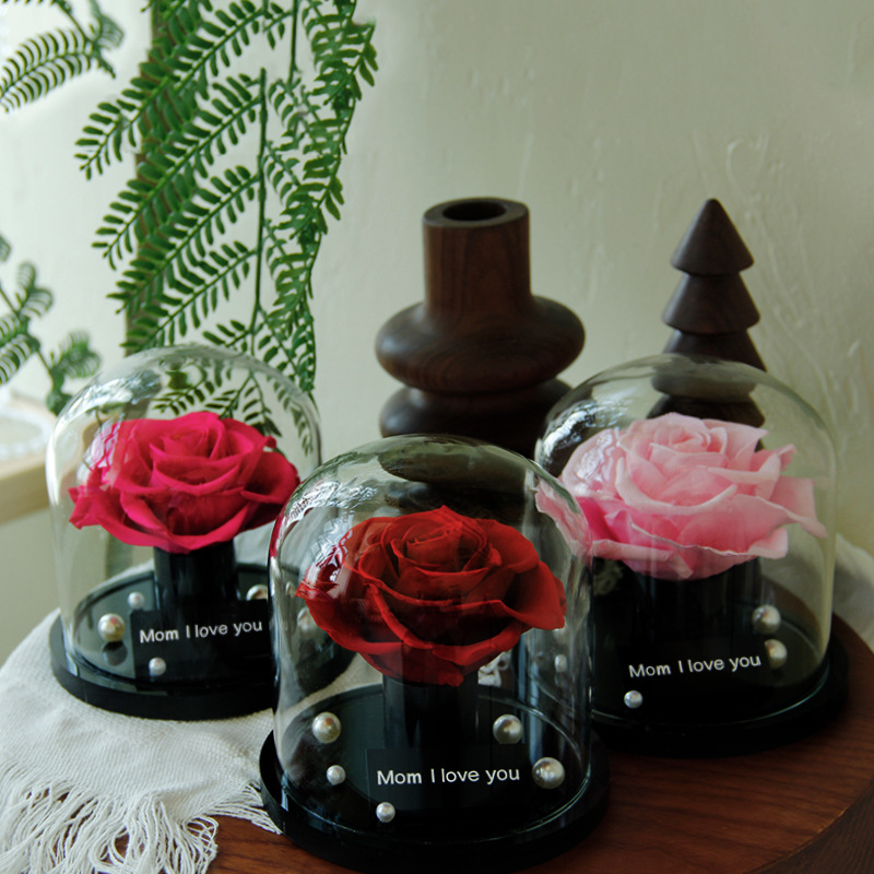 Regalo del Día de la Madre, cúpula de cristal con clavel, rosa del Principito, flor seca, regalo de cumpleaños, adorno, flor real, flor eterna