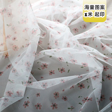 nͯbС黨W @LܾW۲ӡ ľW