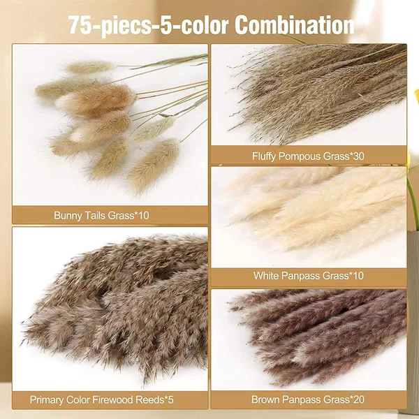 Set, 32