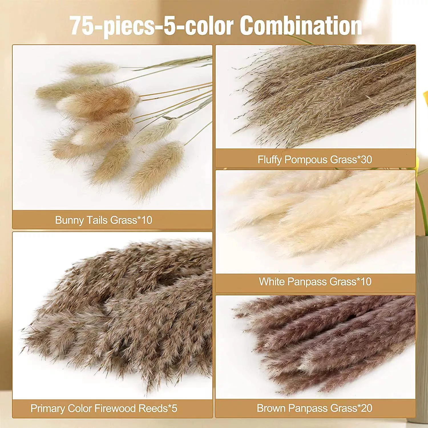 Organic set, wholesale, high-quality style