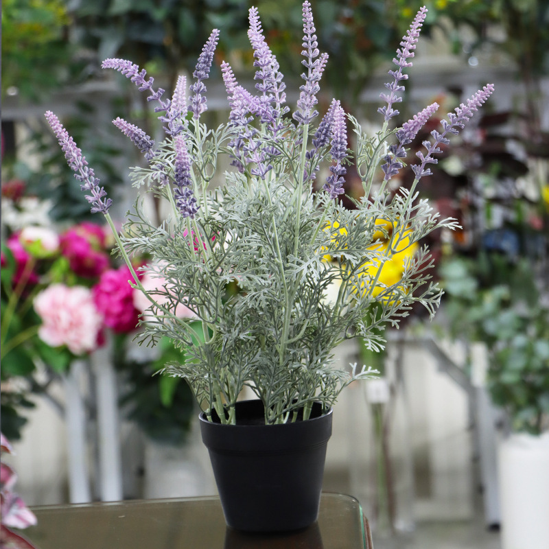 O1CN01X2xg2W1HVxKlCaP9h_!!2212