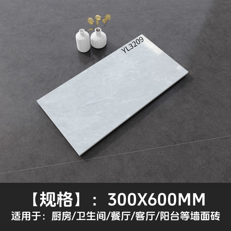 YL3209 (bright interior wall tiles)