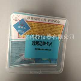 新课标 50511001021 珍稀动物卡片 小学科学教学卡片
