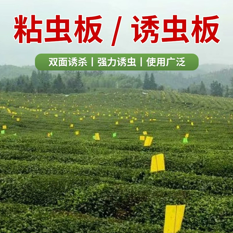 Бренд Min En разлагаемый пластинчатый червь продается оптом в больших количествах.