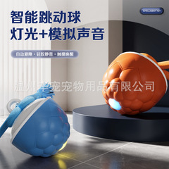 跨境宠物智能滚动球滚动球电动狗狗解闷智能耐咬逗狗球磨牙玩具