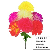 �ω��������ջ�Ĺ���ٻ��������ϻ�����@Ĺ�؉�ǰ��Ĺ���[�Ž���