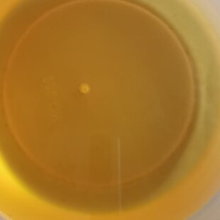 ���ݽ�K���� Marigold oil  ֲ�ﾫ�� ���A��