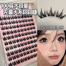 100簇大容量免胶小奶犬系假睫毛眼睫毛懒人浓密自然新手漫画睫