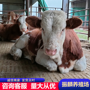 �V����ţ�Bֳ���T����ţ��ţ �����Sţ ����ţһ�^