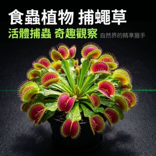 ��ω������ʳ�x��Ȥζ�Gֲ�ļ���ò��x���첶ω���缃ˮ̦�Nֲ
