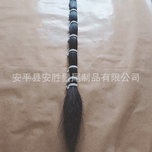 �S�Ҍ��I���a ���NҎ�� �F�^ �g�^ �Rβë �������NҎ�� �ߴ�