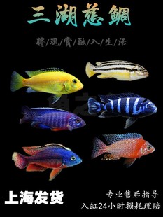 ���������~�R���{������޺ھ������{���R�Ꭷ�^�p�~���wС�͵�ˮ