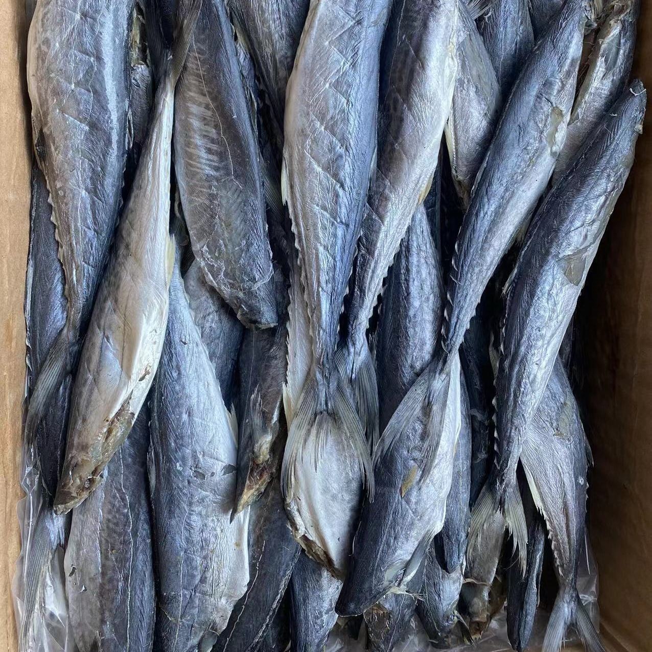 新鲜去头鲅鱼干半干咸鱼马鲛鱼无头咸鱼海鲜批发小鱼干干货批发