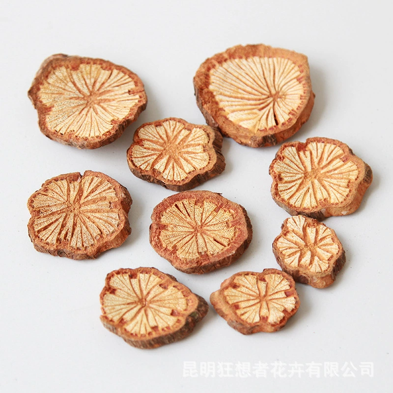 Dry Flower DIY Materials [Dry Fruit] Madman Sommelier Candle Plant Simagon Handmade Class Dry Flower Dry Branches Material