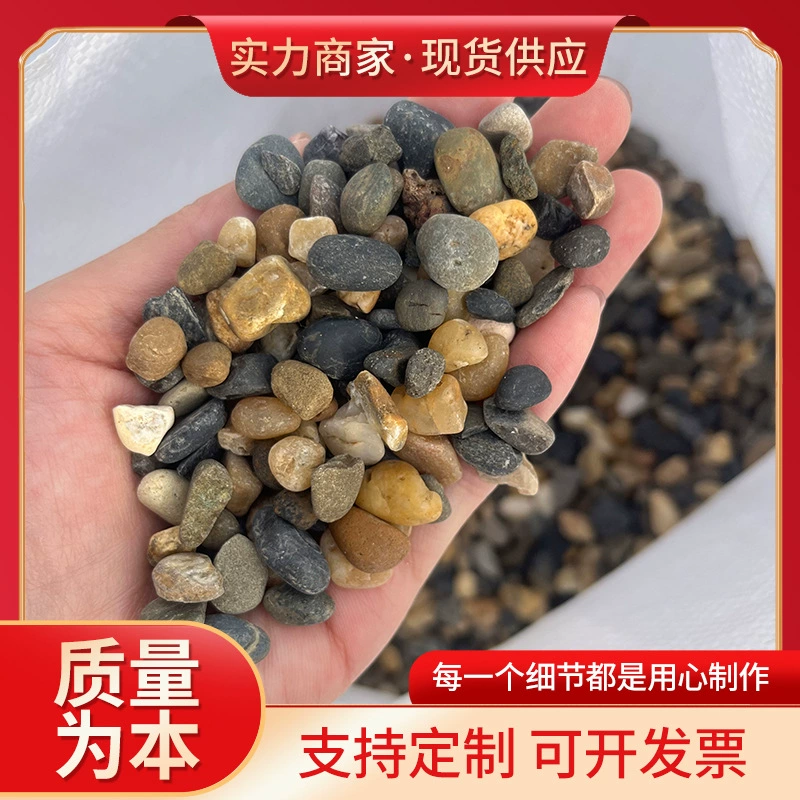 Родные соевые камни, галька ручья, аквариум с каменной рыбой
