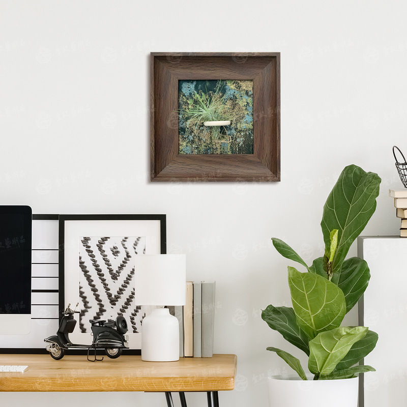 Air Pineapple Plant Middle Ancient Decorative Painting Background Wall Decoration Air Pineapple Photo Frame Living Room Decoration Modern Simple