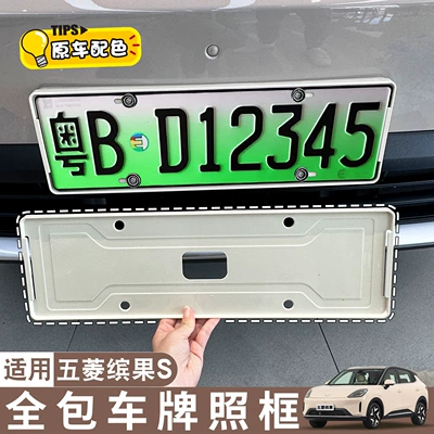 License plate holder/license plate holder Surround, Same Color as Original Car Paint