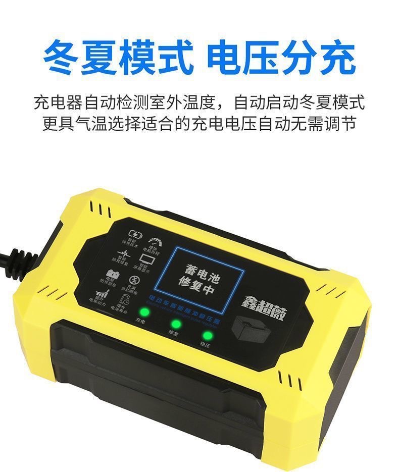 Electric Vehicle Intelligent Pulse Voltage Stabilizer Repairer One-Click Repair Activation Battery Fully Automatic Power Outage Protection Universal