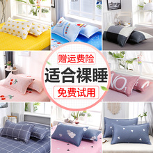 网红款枕套单人单个枕头套儿童卡通夏季双人一对装枕芯内胆套整头