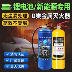 新エネルギー車両専用消火器 D タイプ金属車両ポータブル D タイプ電気自動車リチウム電池水性消火器