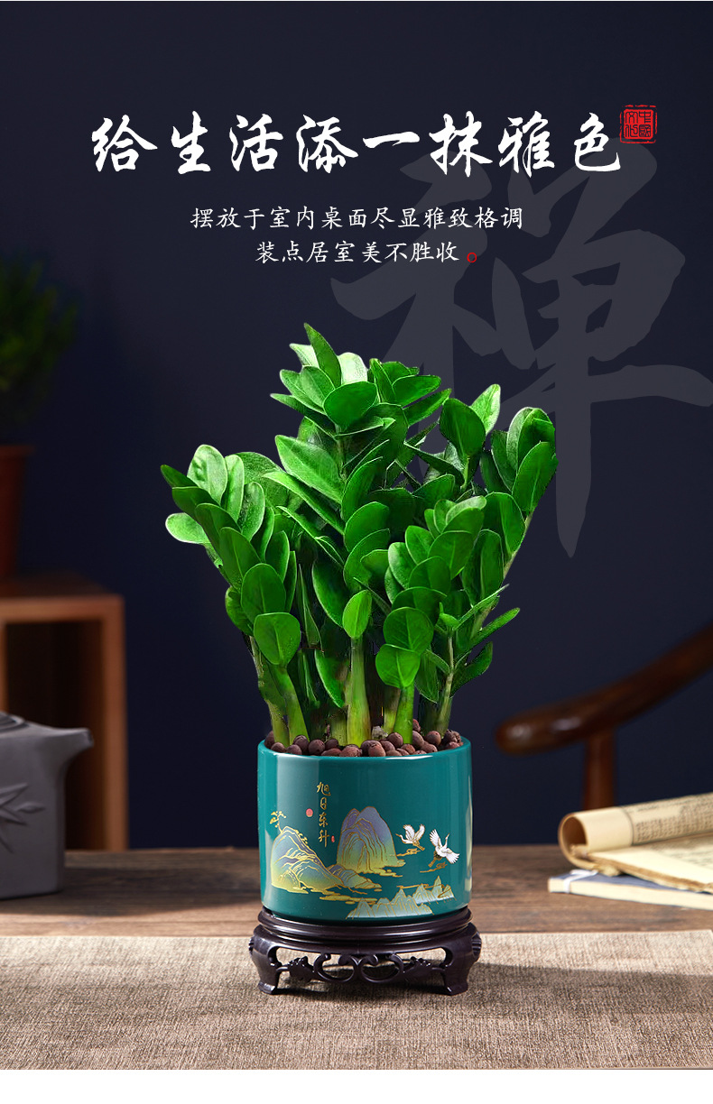 详情图