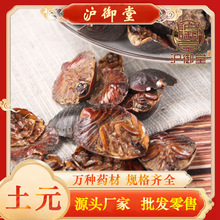 ���l��ș����Ԫ ���M�x ���M�x ��Ԫ��