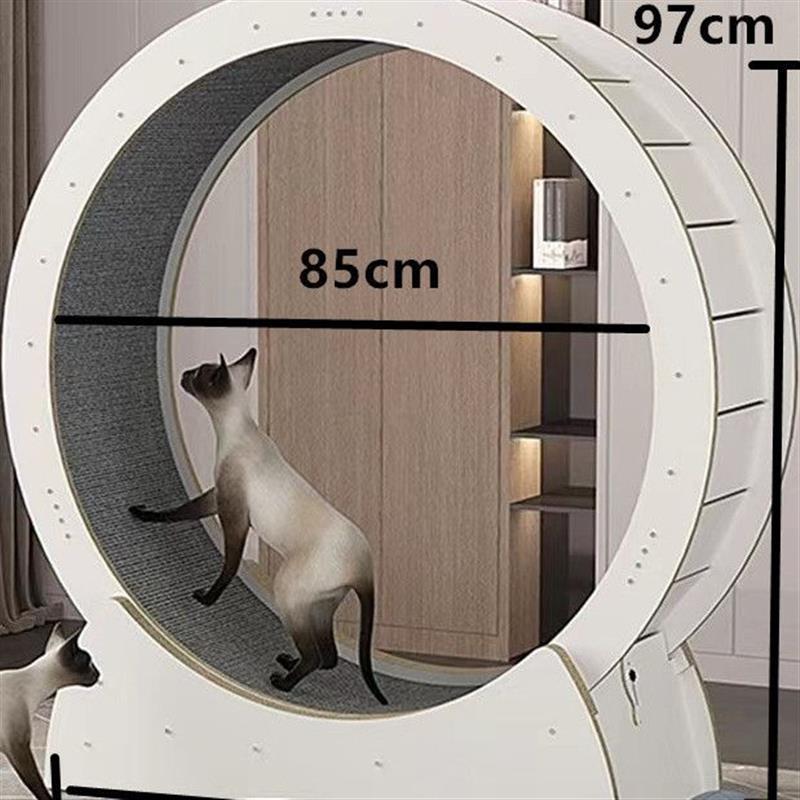 흰색 밀도 보드 중간 크기(5kg 이내)