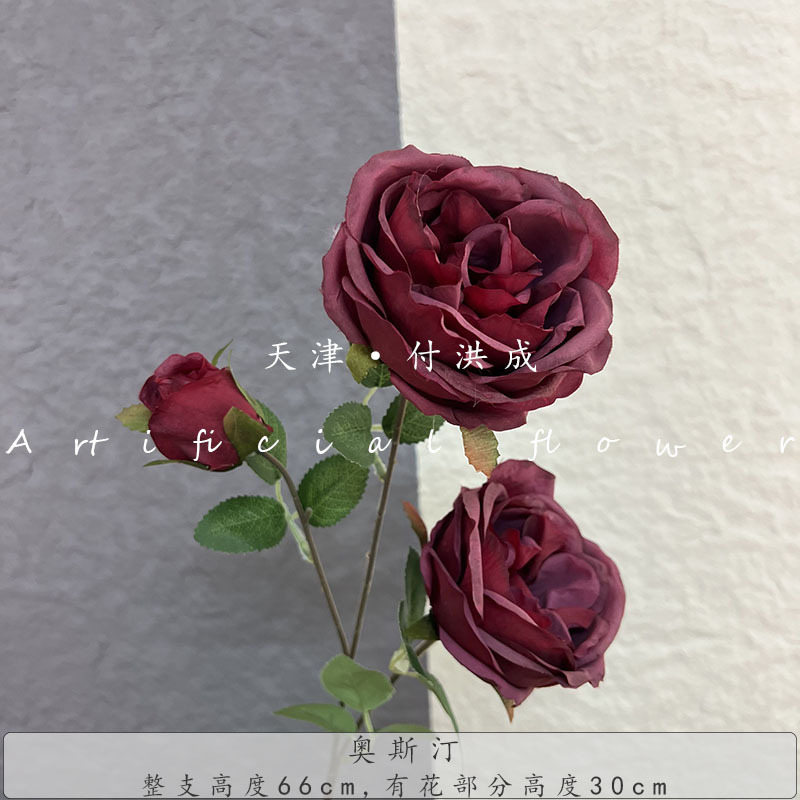 오스틴