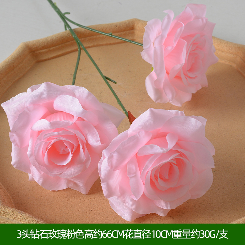 3头钻石玫瑰粉色