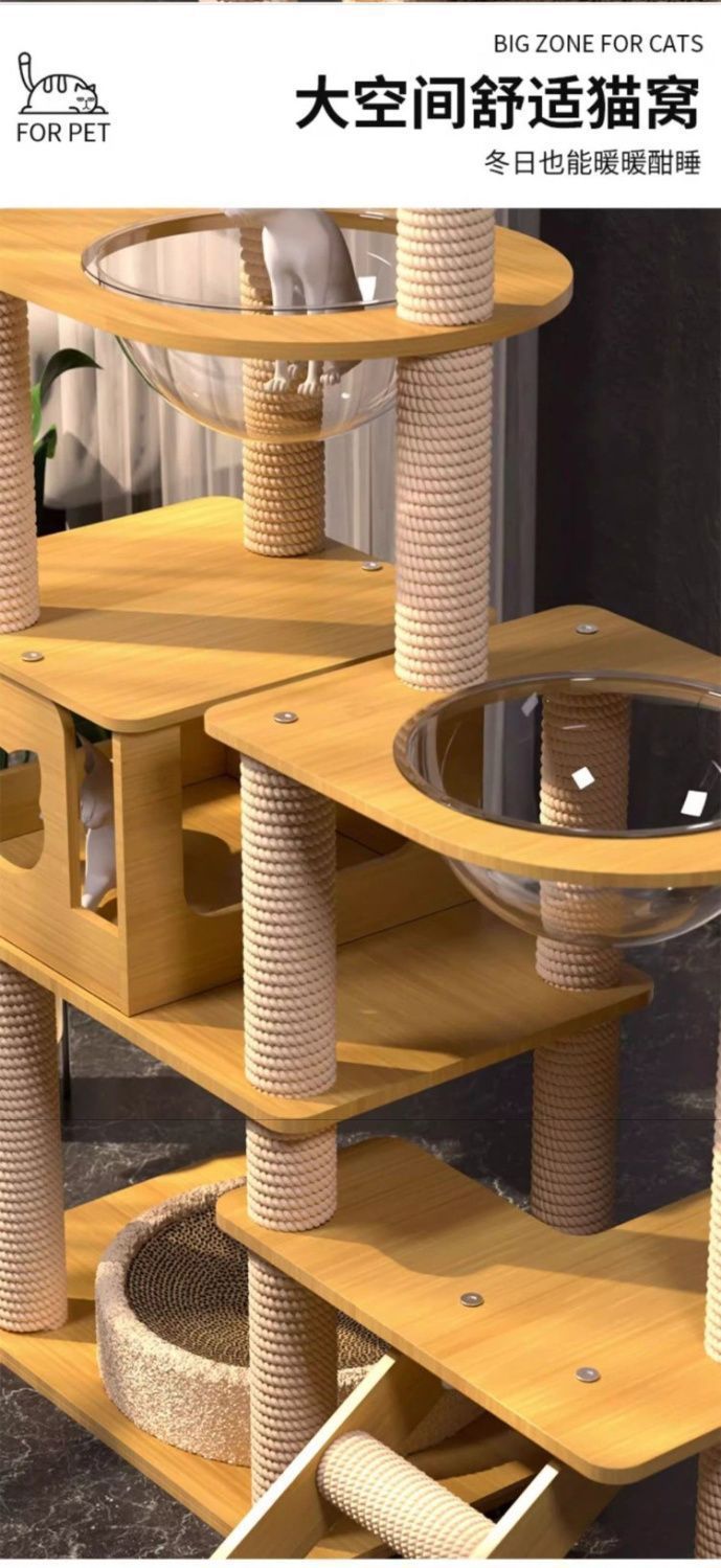 a859bea9-0c72-4b88-ab2f-87b5b449e2f0.jpe