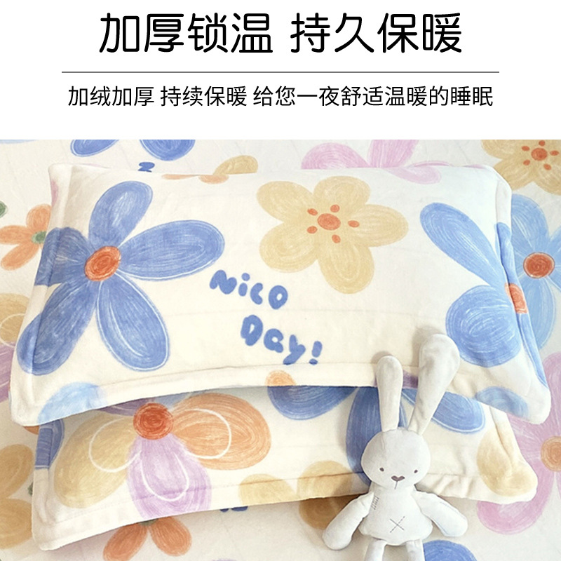 Una funda de almohada de lana de leche un par de toallas de almohada de lana de coral de otoño una sola funda de almohada 48cmx74cm una sola funda de almohada 2