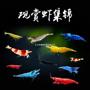 �^�p�r���w�����rˮ���r�ѻ������r��ˮ��ͺښ����߳����r�ײ�