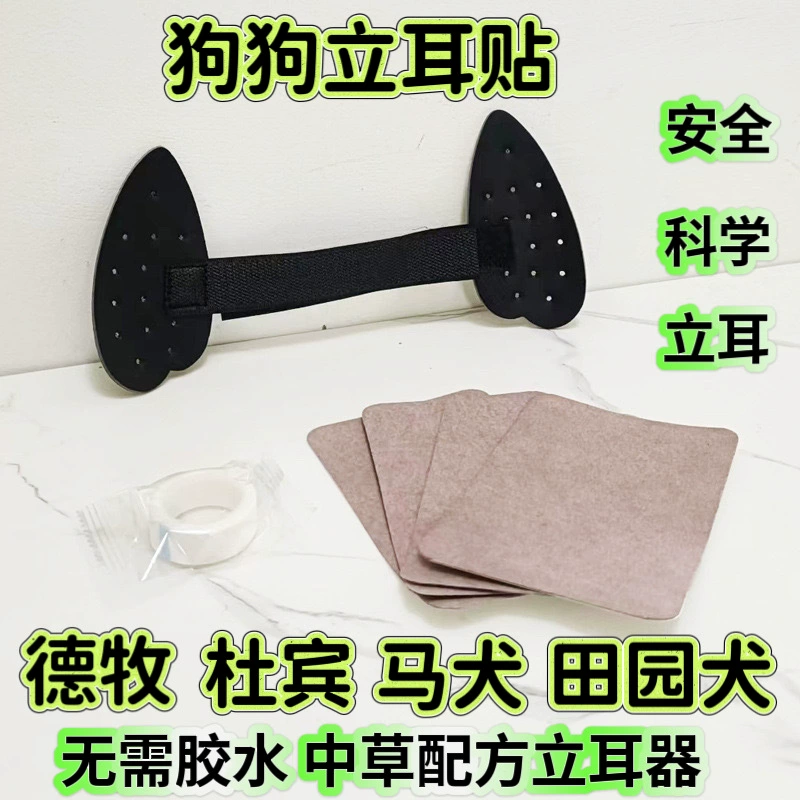 Собака стоит на ушах и стоит на ушах.