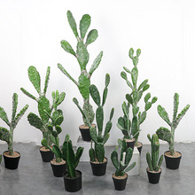 ���������ƴ��͟Ꭷ��ֲ�ﱱ�W�������پGֲ�҃Ȉ��������b[��