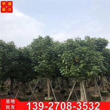 �S� �S�Ș� ���И� ͩ�� ���� ���� ���� ���_�� ������