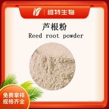 芦根粉Reed root powder 现磨粉 鲜芦根原粉 芦根生粉 维特生物