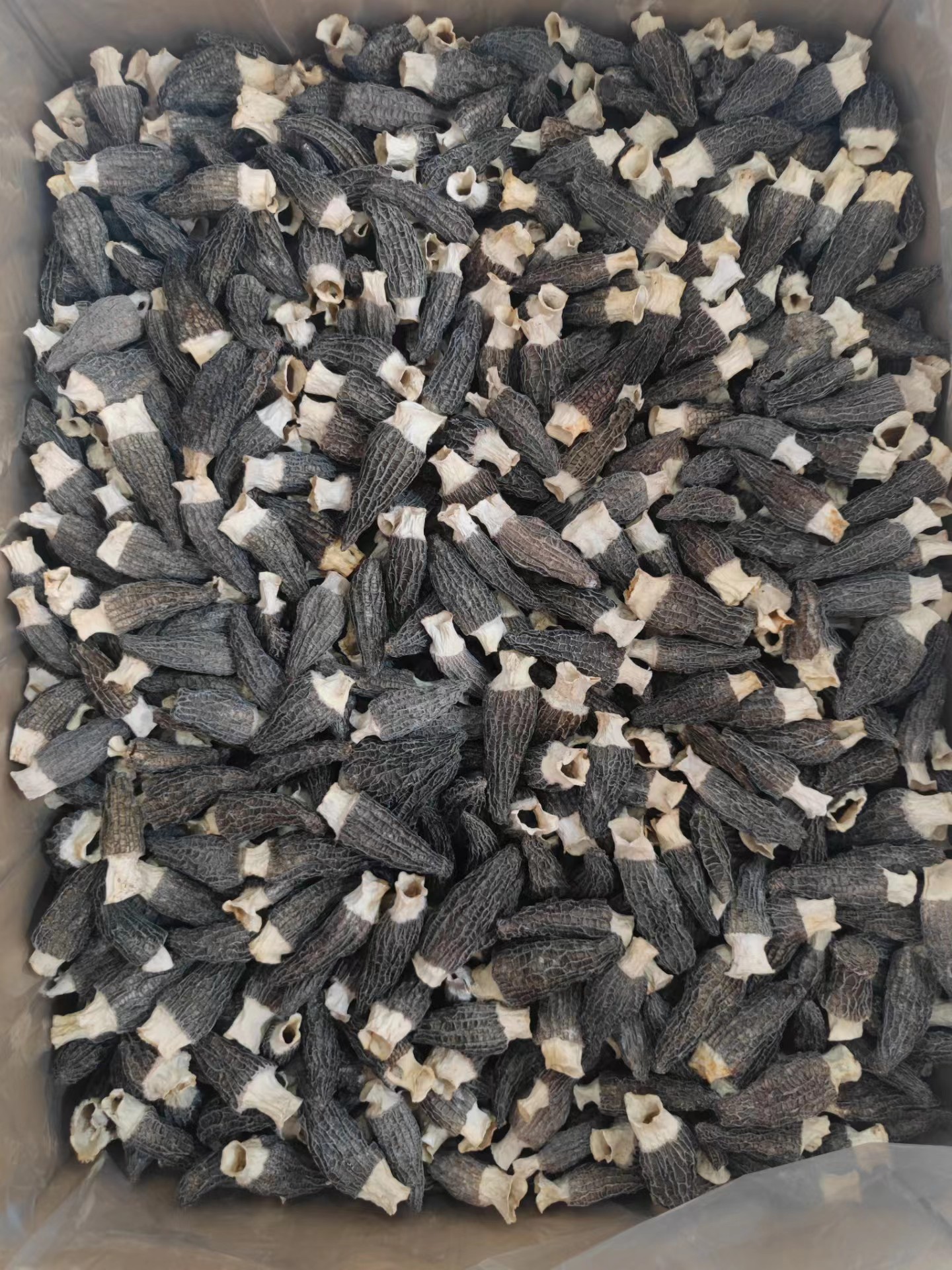 cc98c6e0236e1c1c81e41eb3bbbdb1